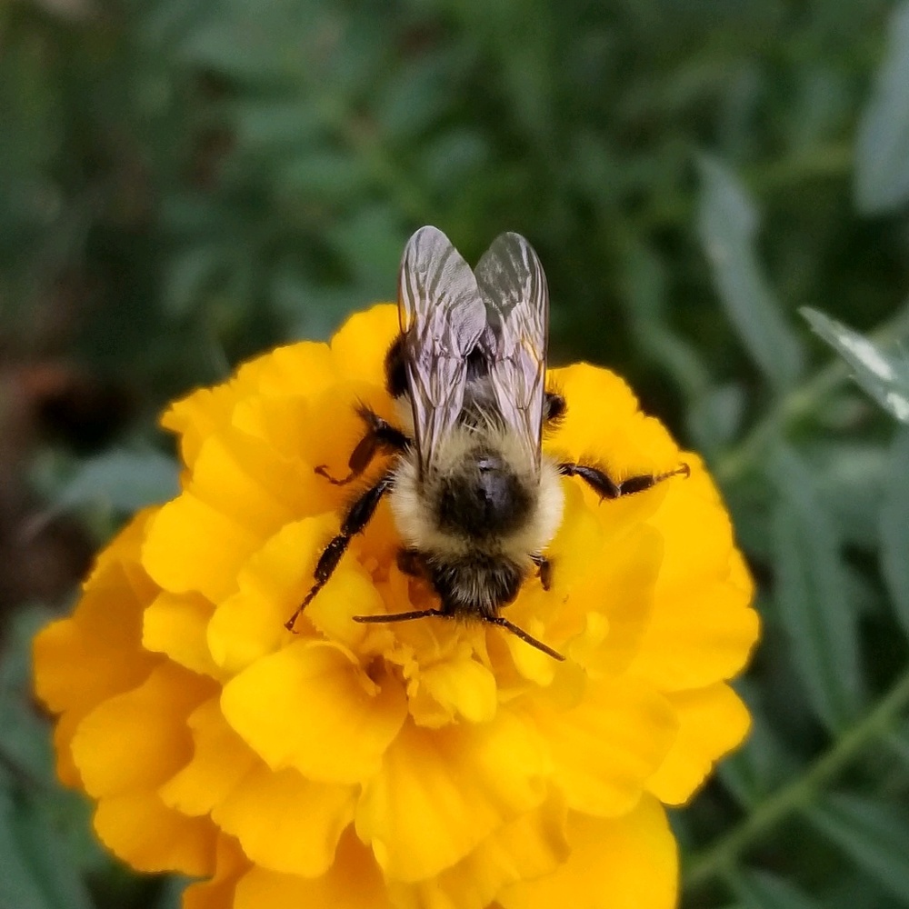 Meet your Posher, April